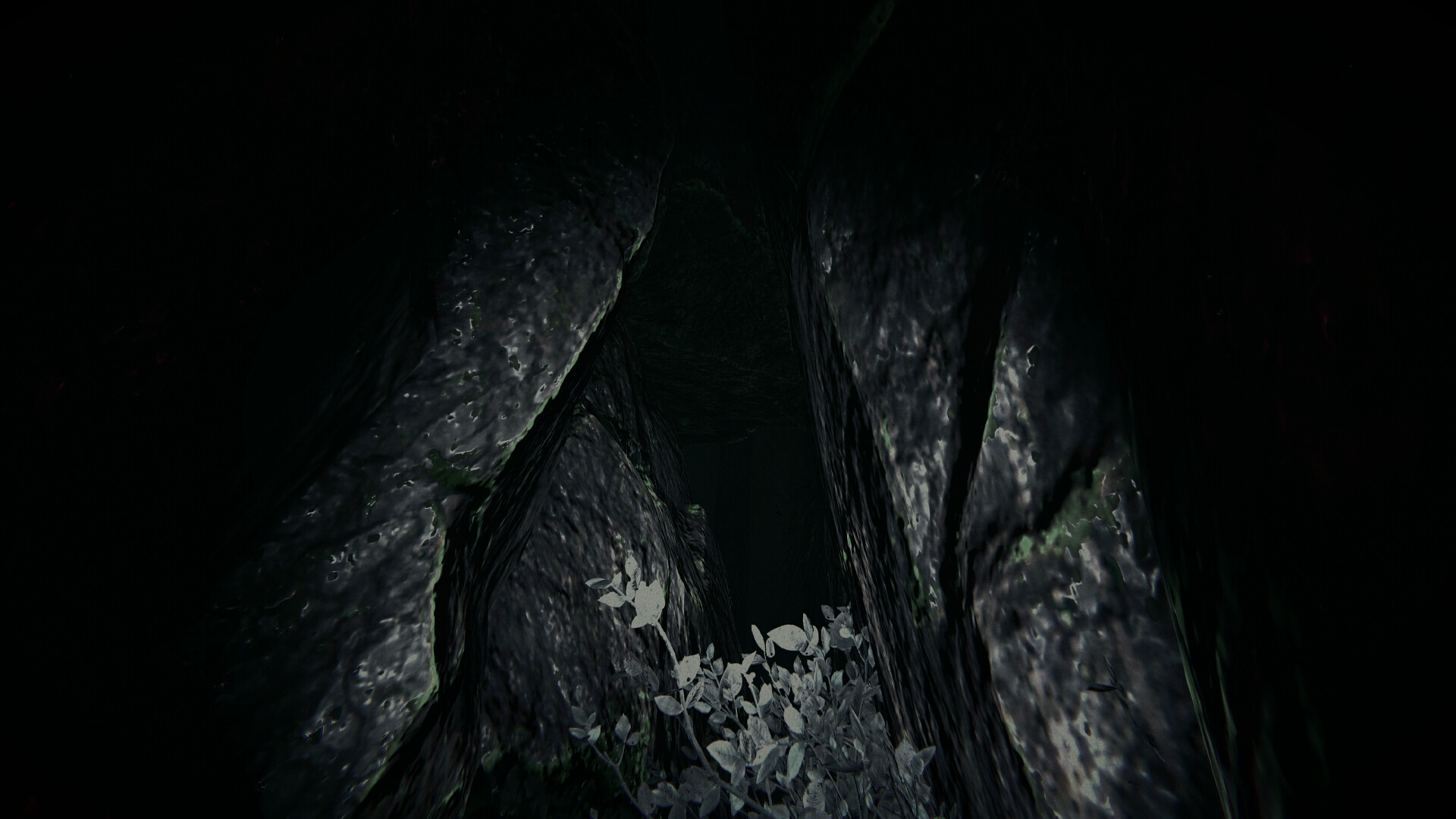 Shroud of the Woods Screenshot 8