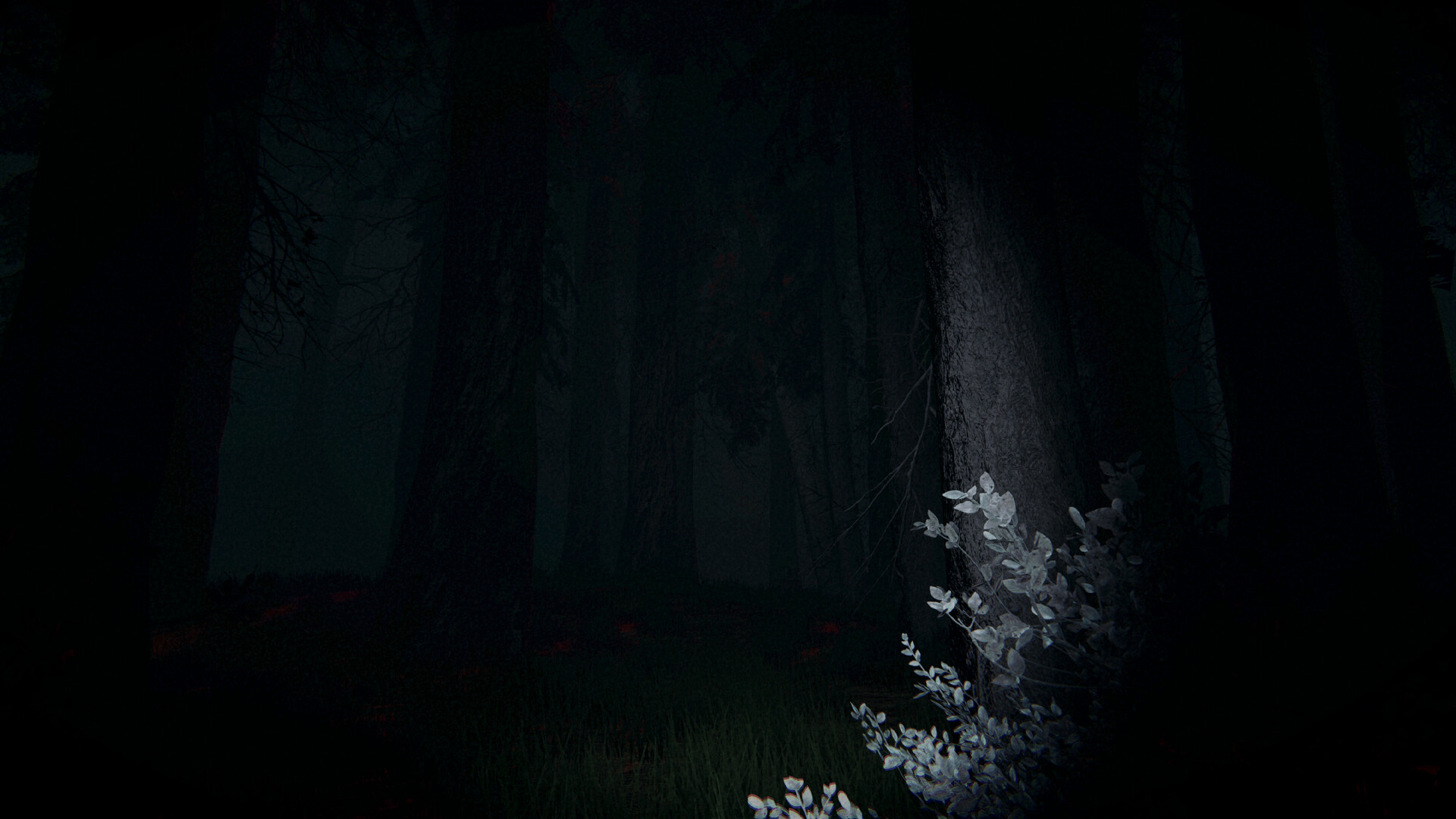 Shroud of the Woods Screenshot 2