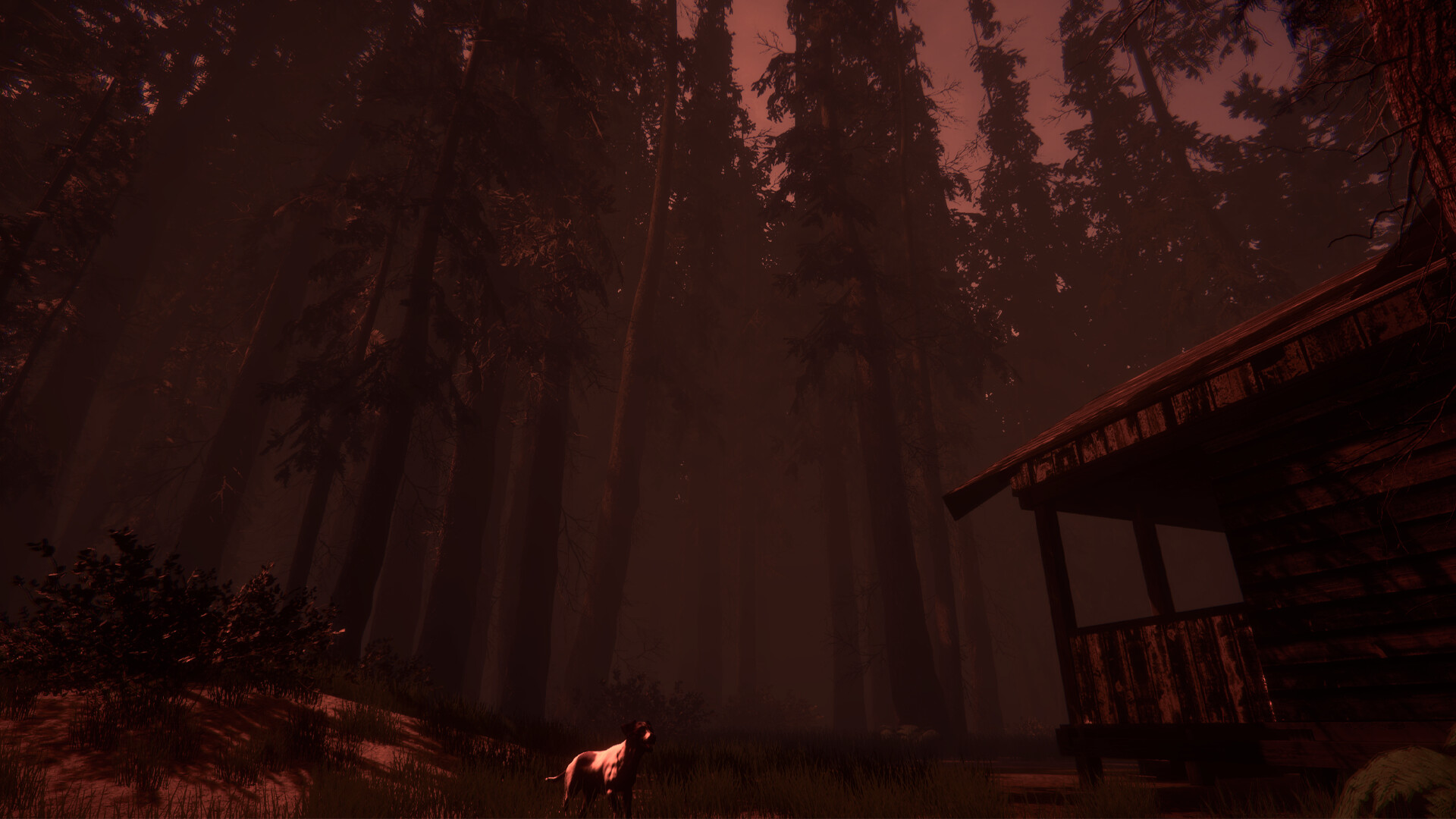 Shroud of the Woods Screenshot 0