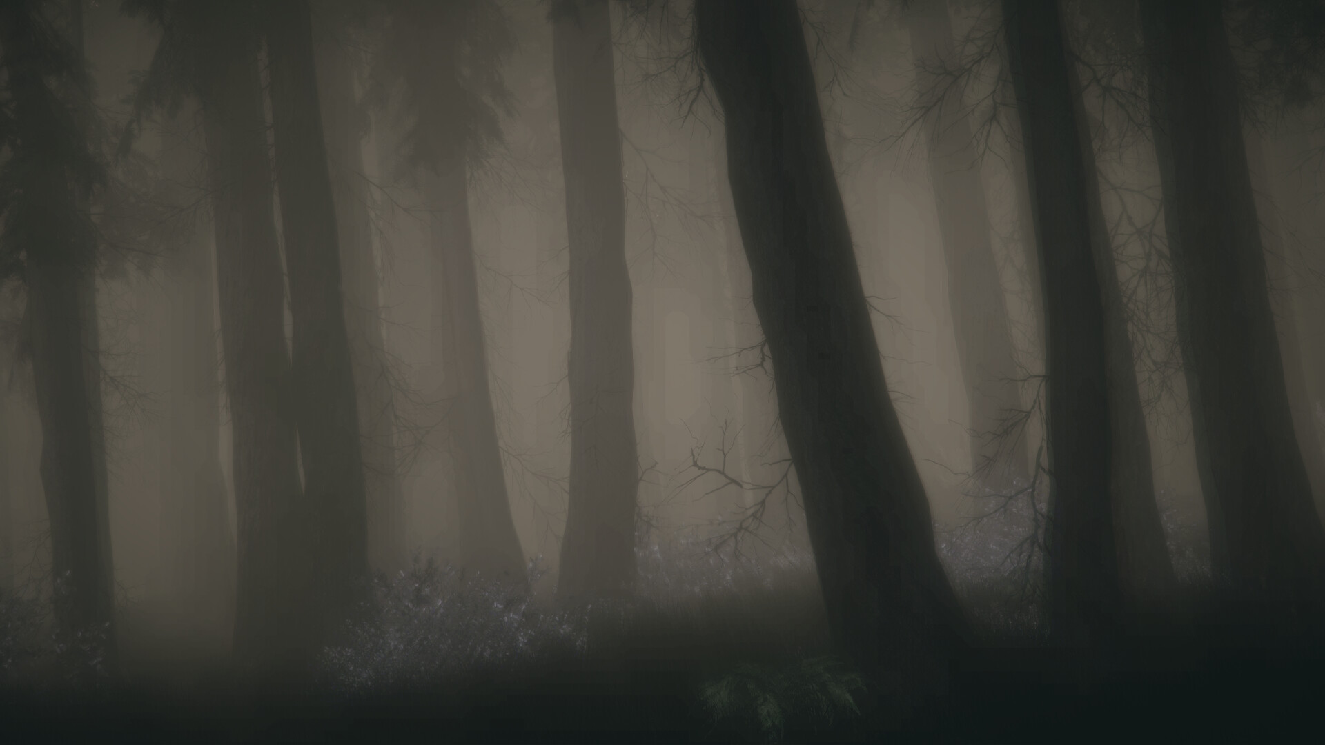 Shroud of the Woods Screenshot 7