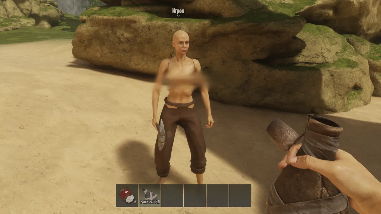 FLINT Screenshot 1