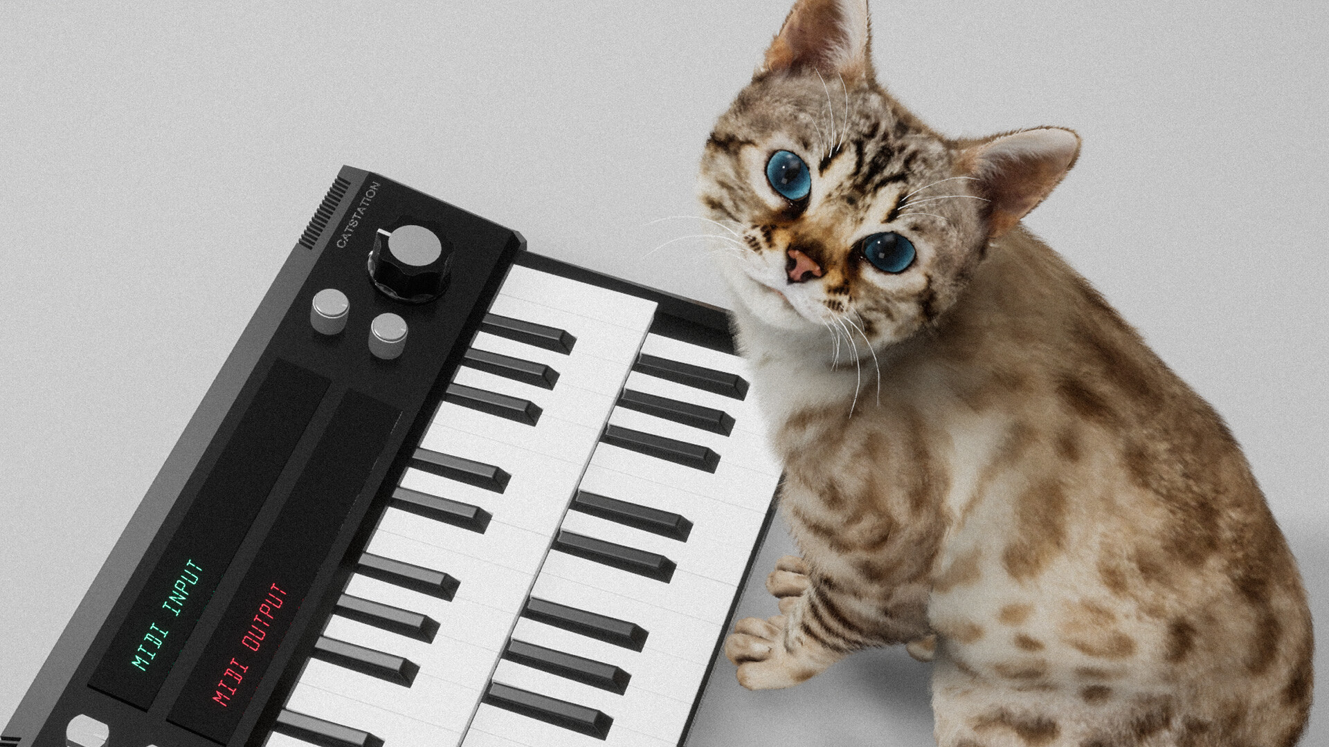 Meowstro Screenshot 6