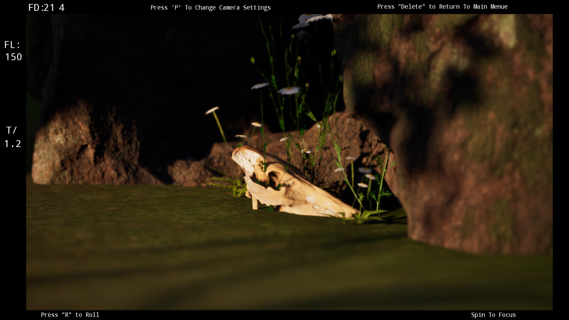 Focus Simulator Screenshot 3