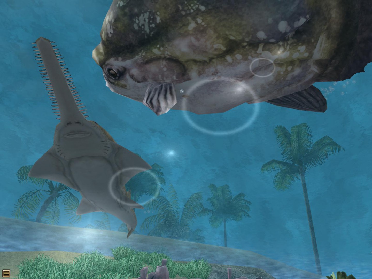 Wildlife Park 2 - Marine World Screenshot 4