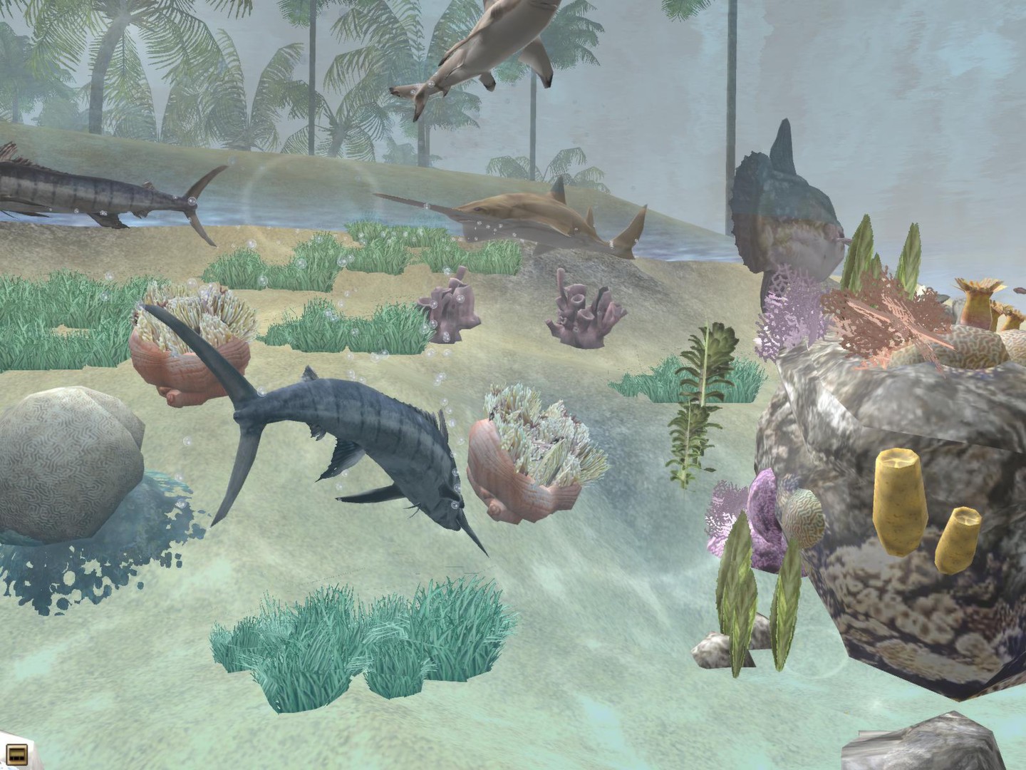 Wildlife Park 2 - Marine World Screenshot 2
