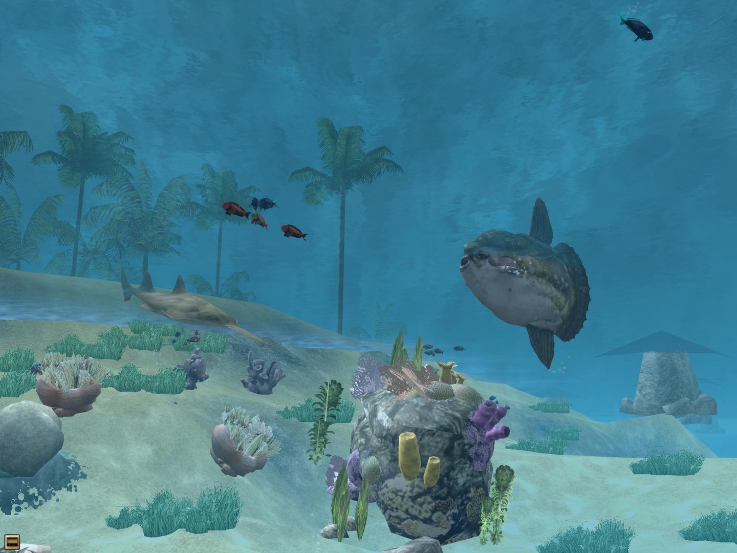 Wildlife Park 2 - Marine World Screenshot 3