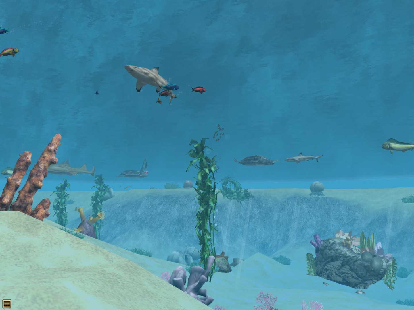 Wildlife Park 2 - Marine World Screenshot 5