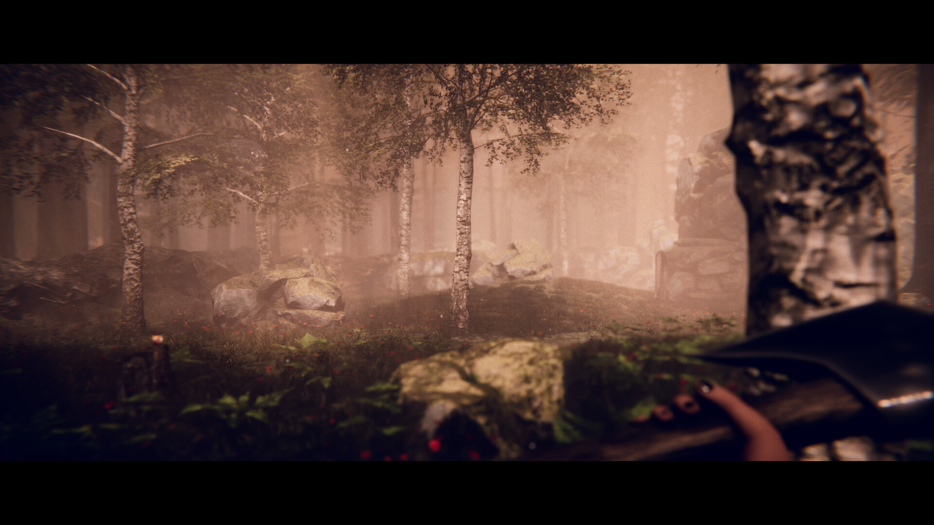 Project Songbird Screenshot 2
