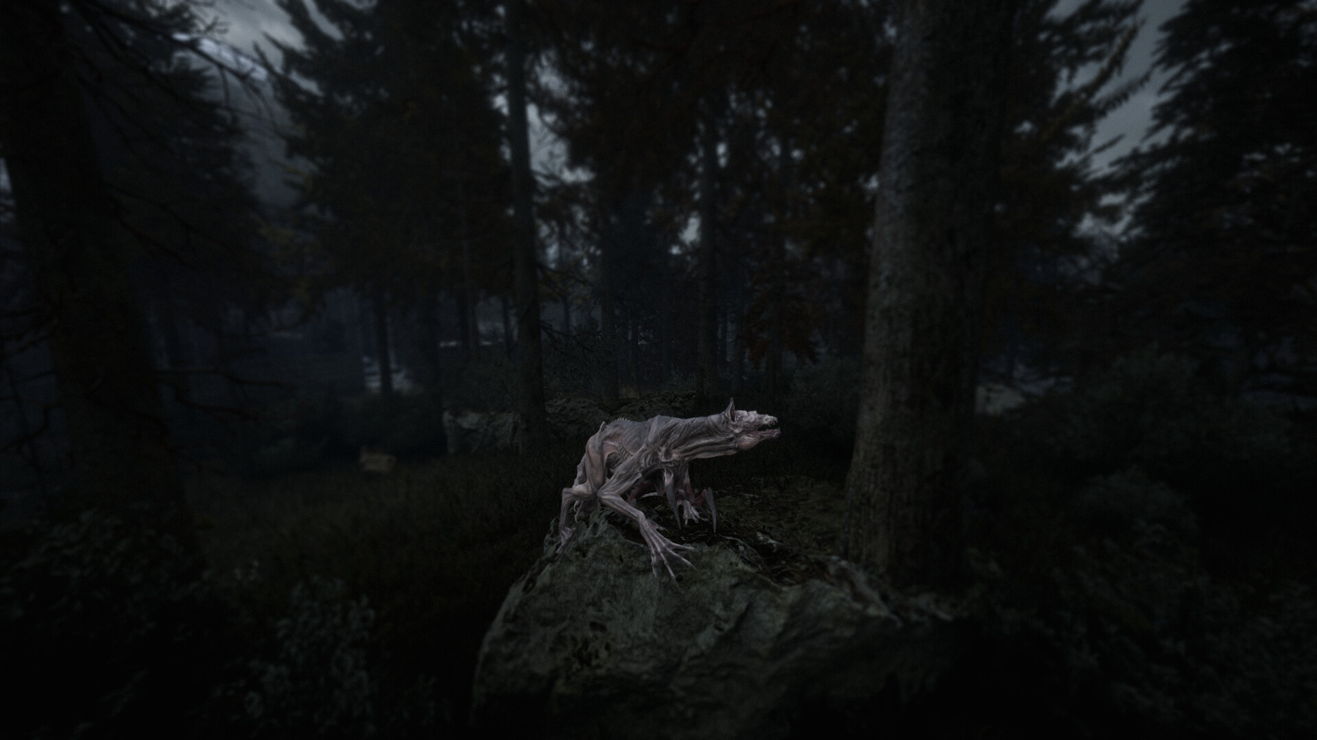 Beautiful Light Screenshot 5