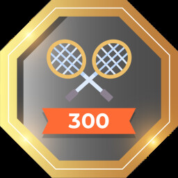 Super 300 expert icon