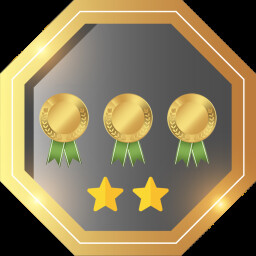 Accomplished professional icon