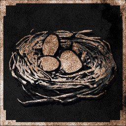 Don’t disturb the Birds icon