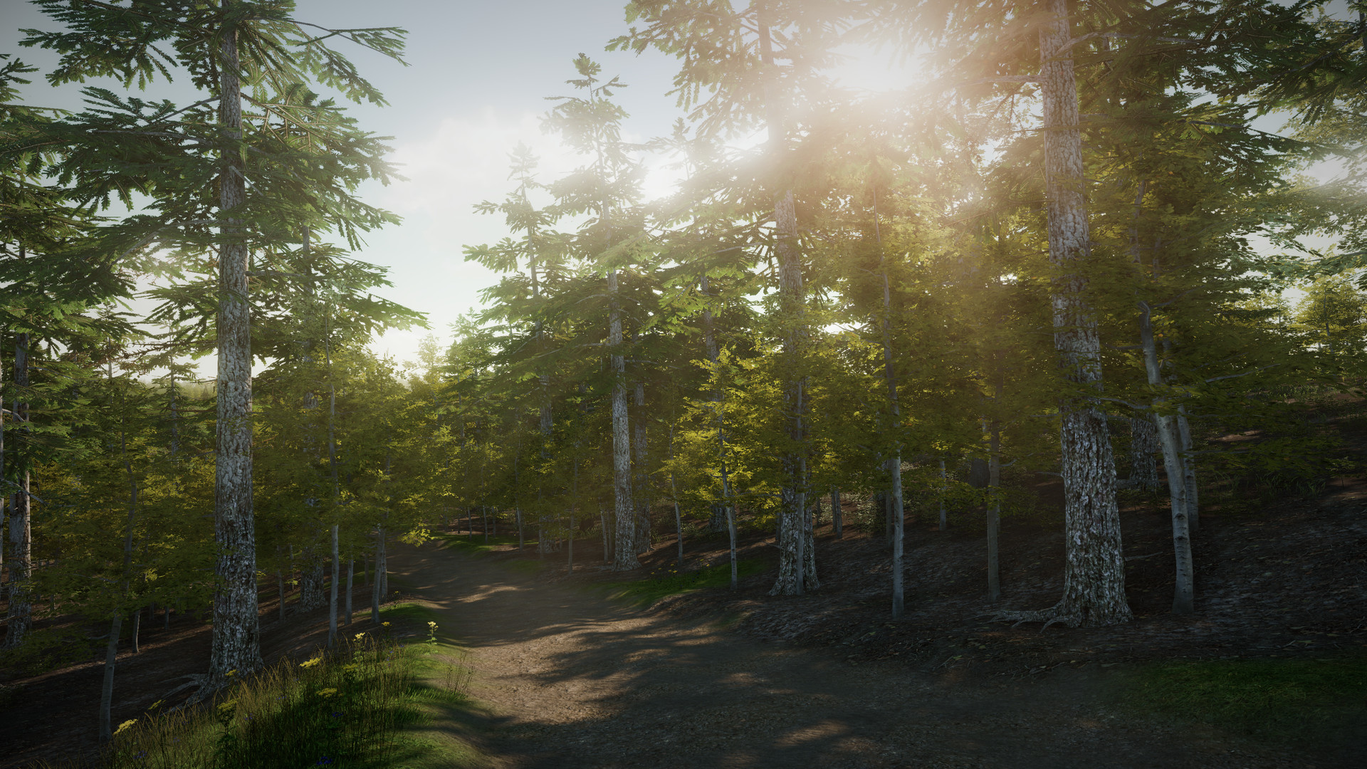 EreaDrone : FPV Drone Simulator Screenshot 16