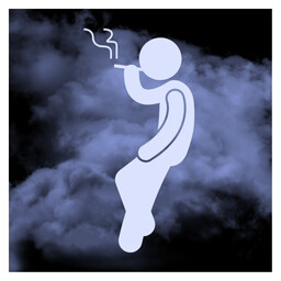 Tramp? More respect, kid! icon