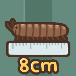 Welcome to Australia icon