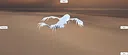 Leviathan Screenshot 6