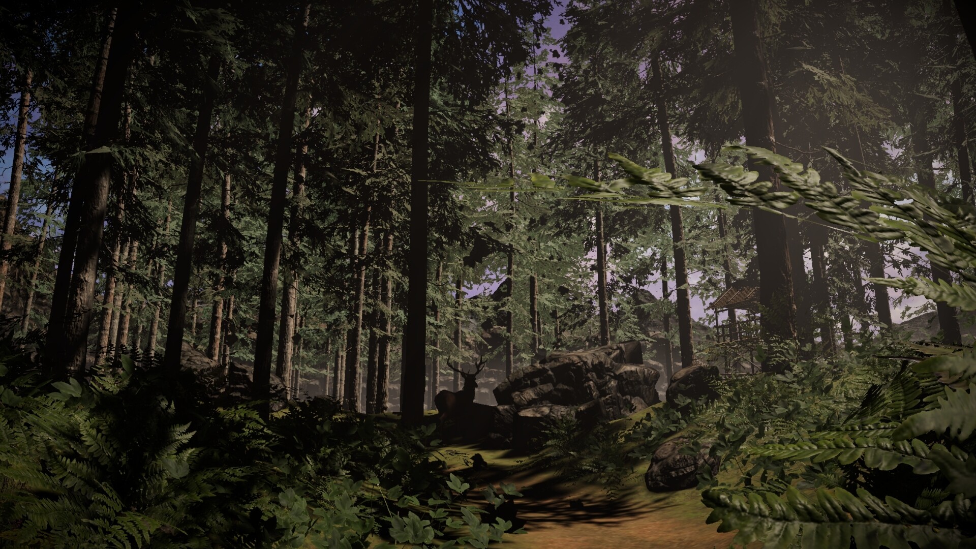 House Of Nowhere Screenshot 4