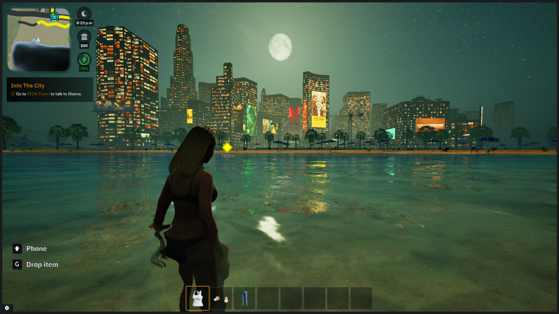 Pionero Capital Demo Screenshot 7