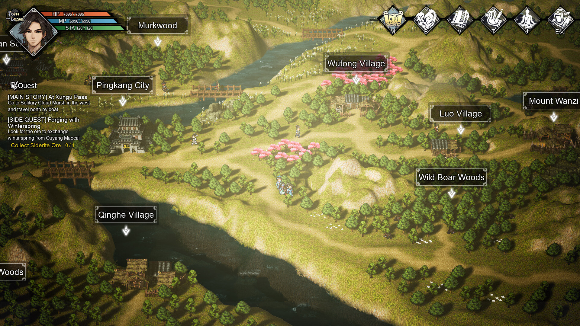 Wandering Sword Screenshot 5