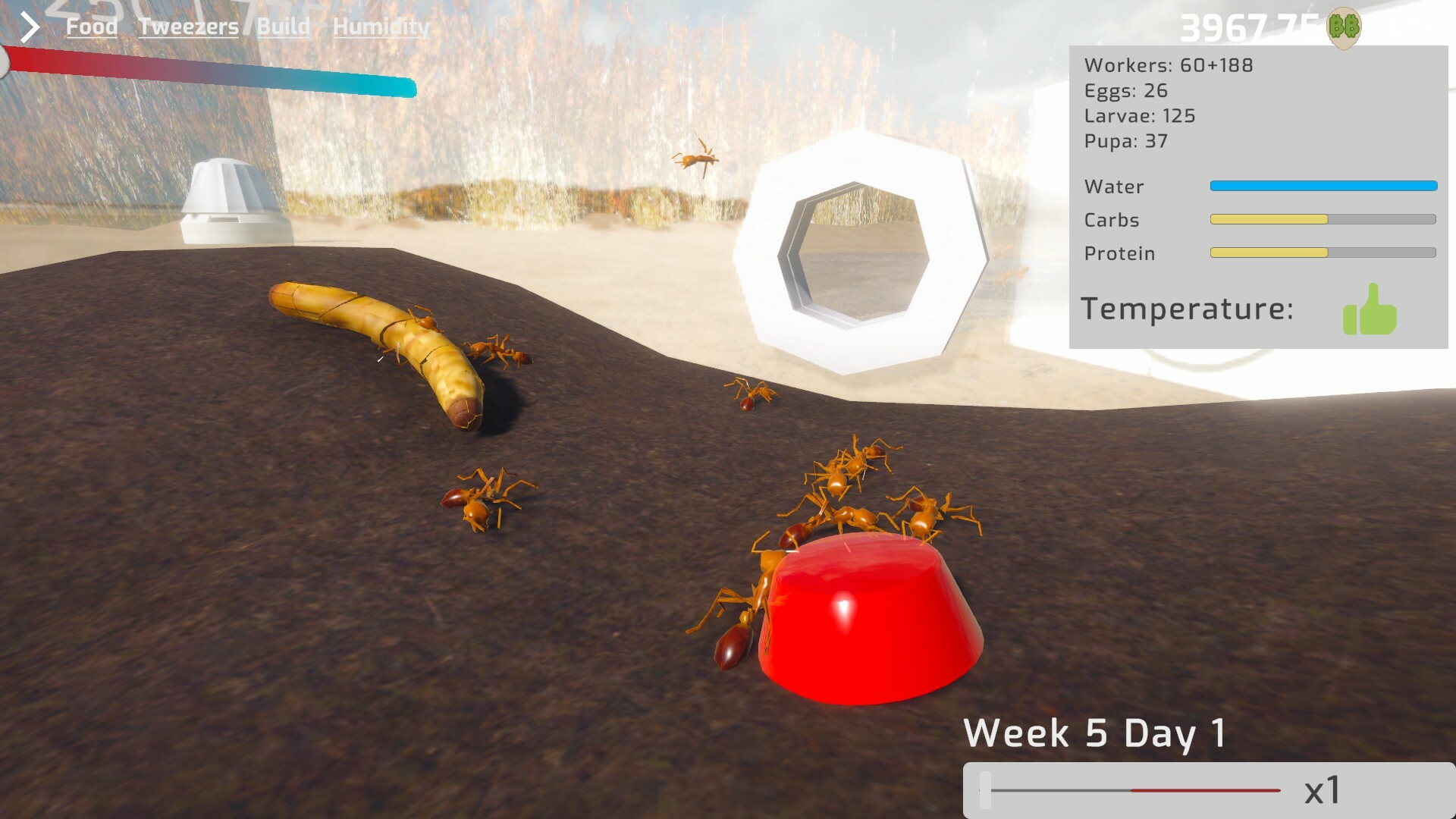 Ant Keeping Simulator Screenshot 1