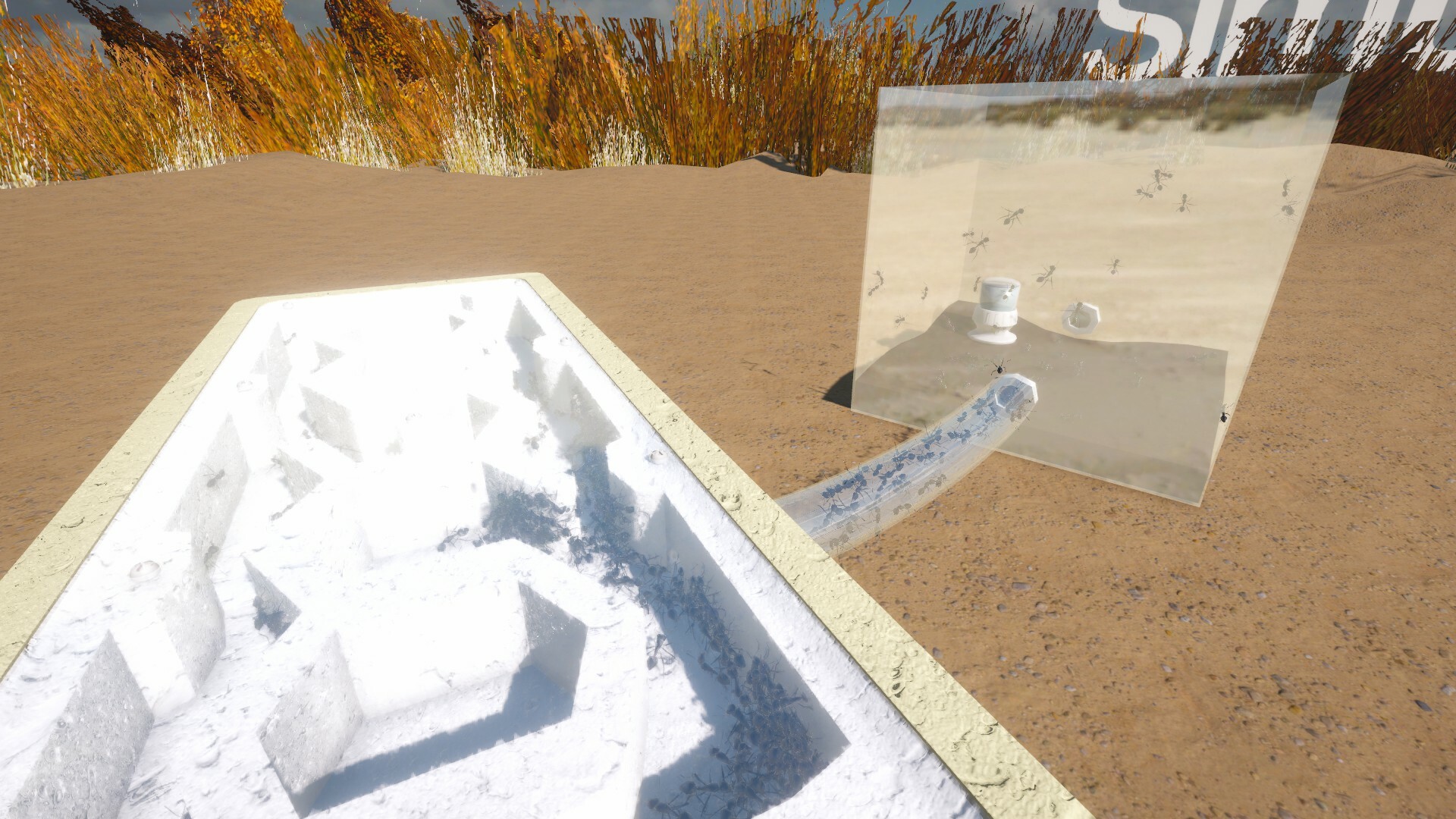 Ant Keeping Simulator Screenshot 5