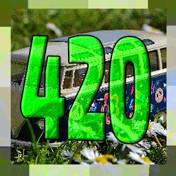 Honker of Truth icon