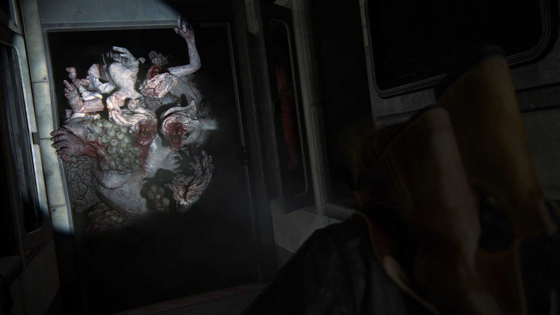 The Last of Us™ Part II Remastered Screenshot 8