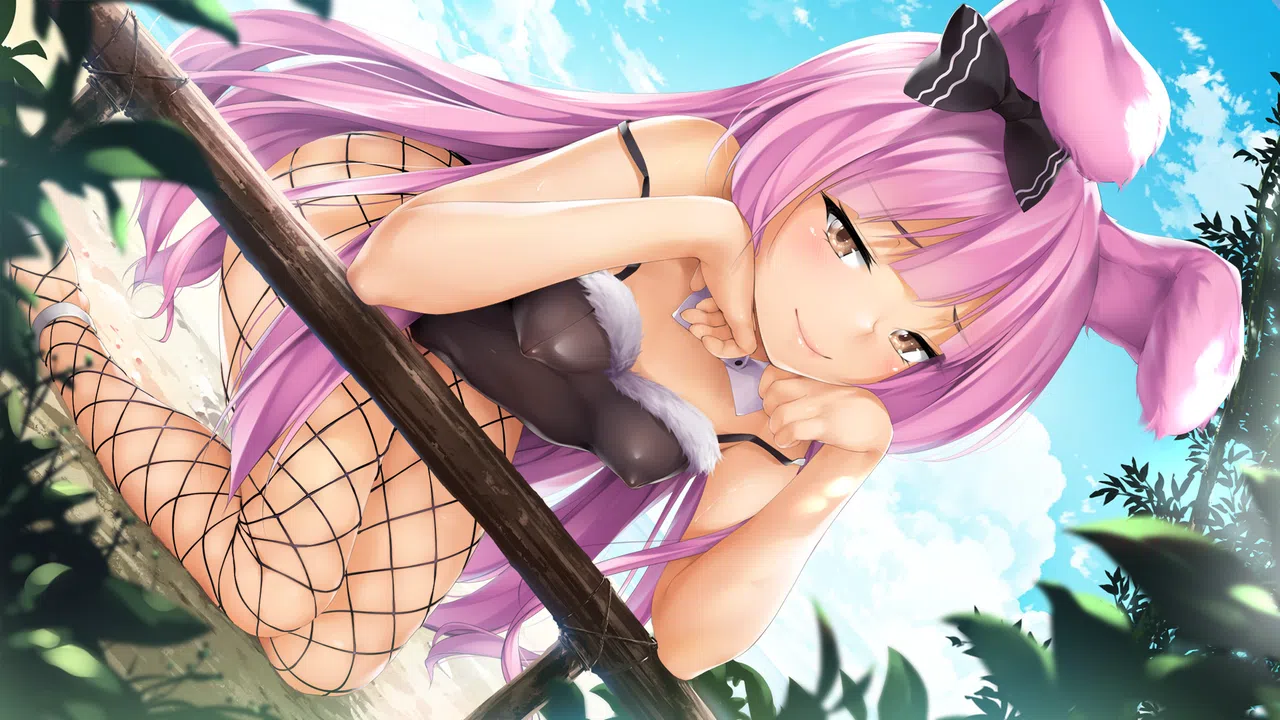 Animal Cafe Screenshot 8