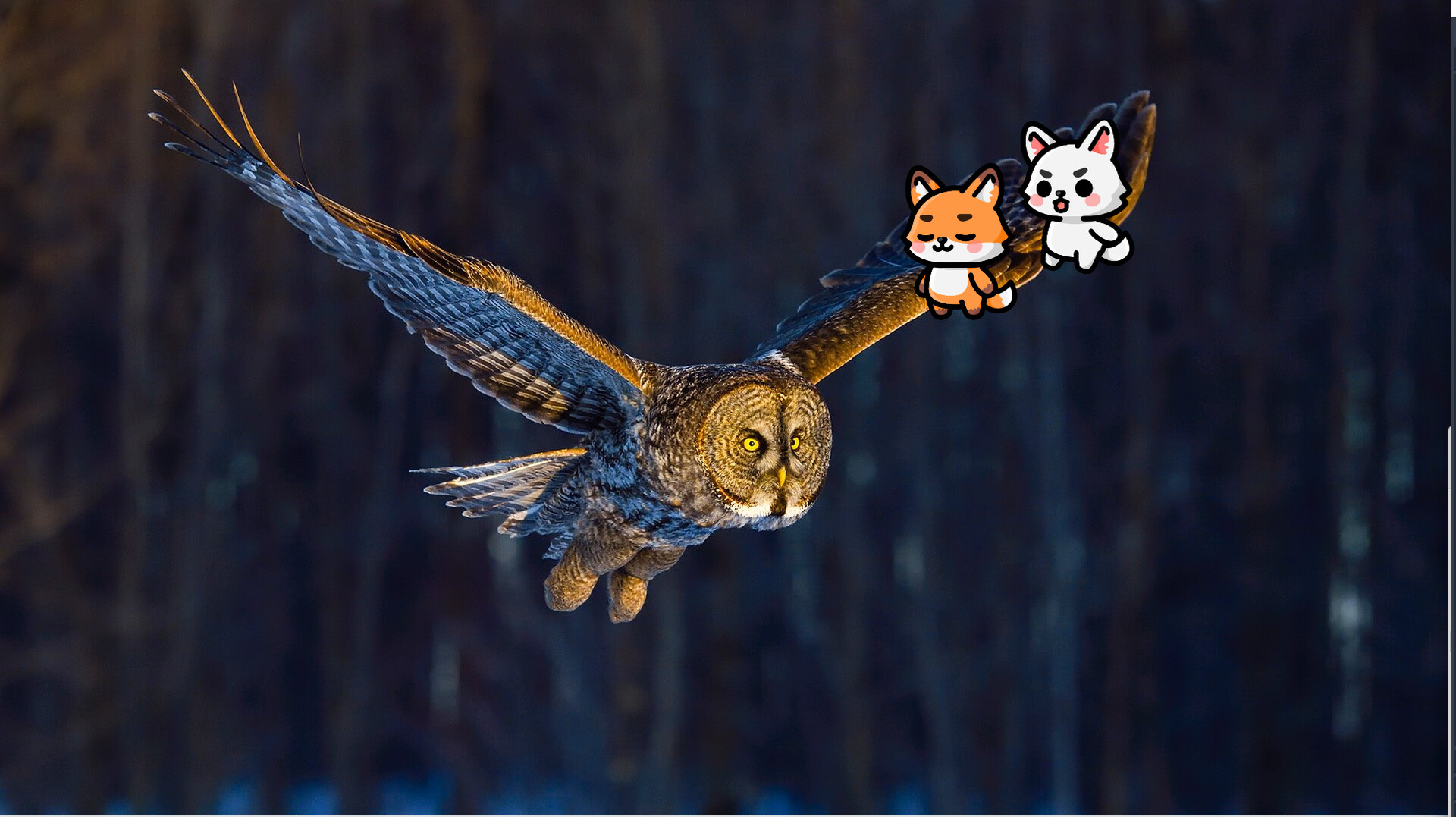 waitforit Screenshot 5