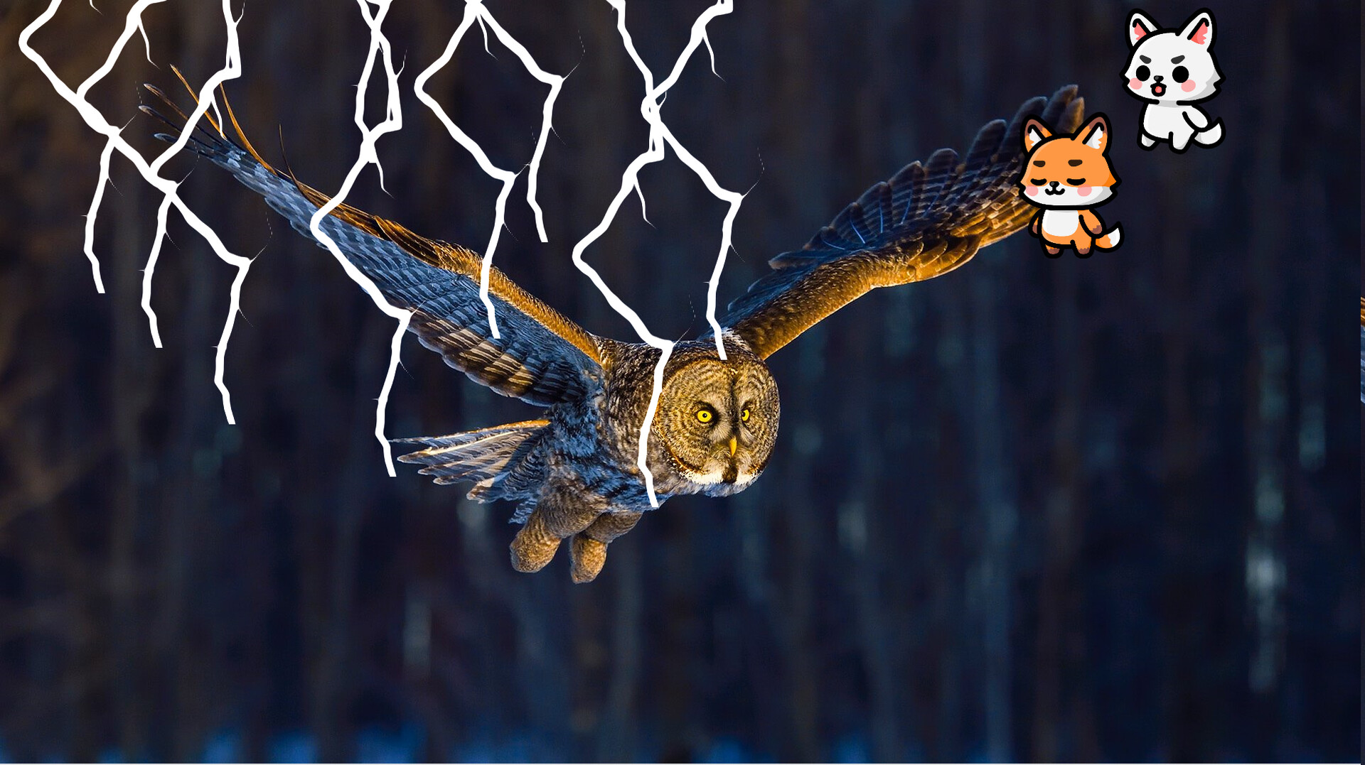 waitforit Screenshot 3