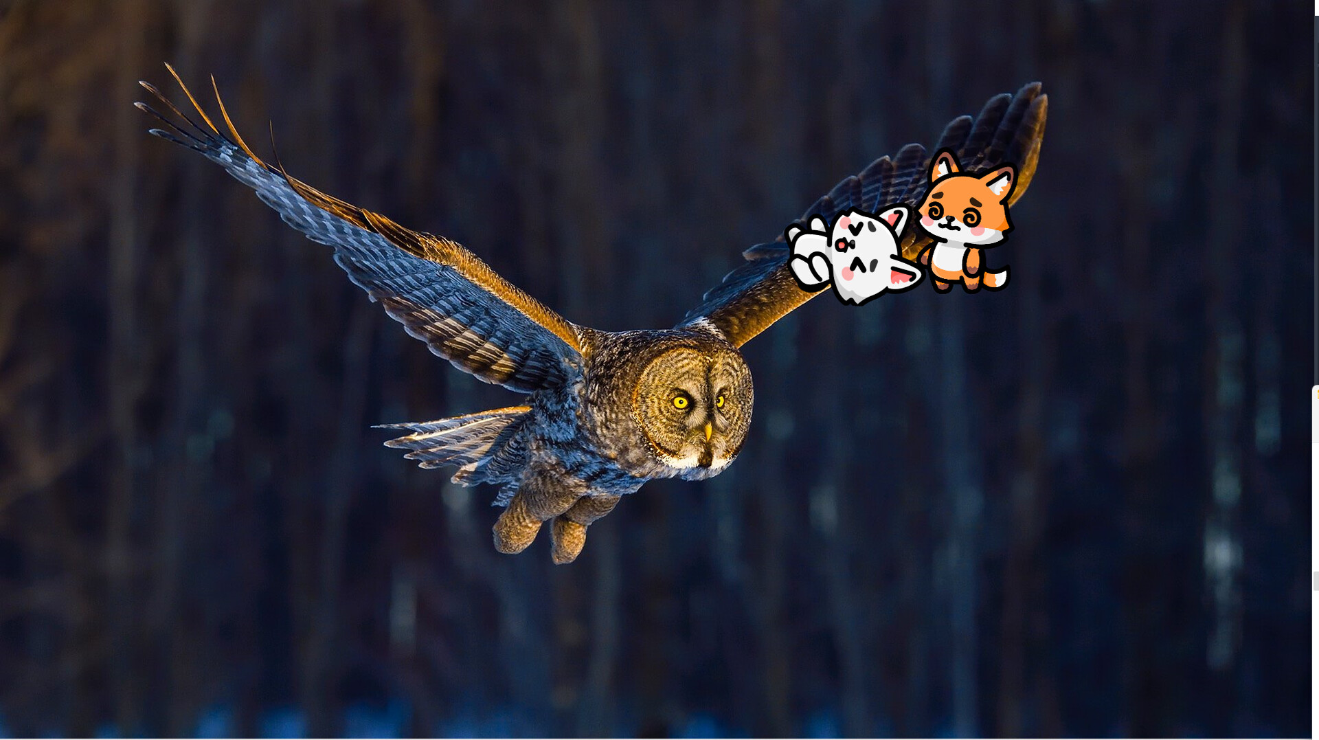 waitforit Screenshot 1