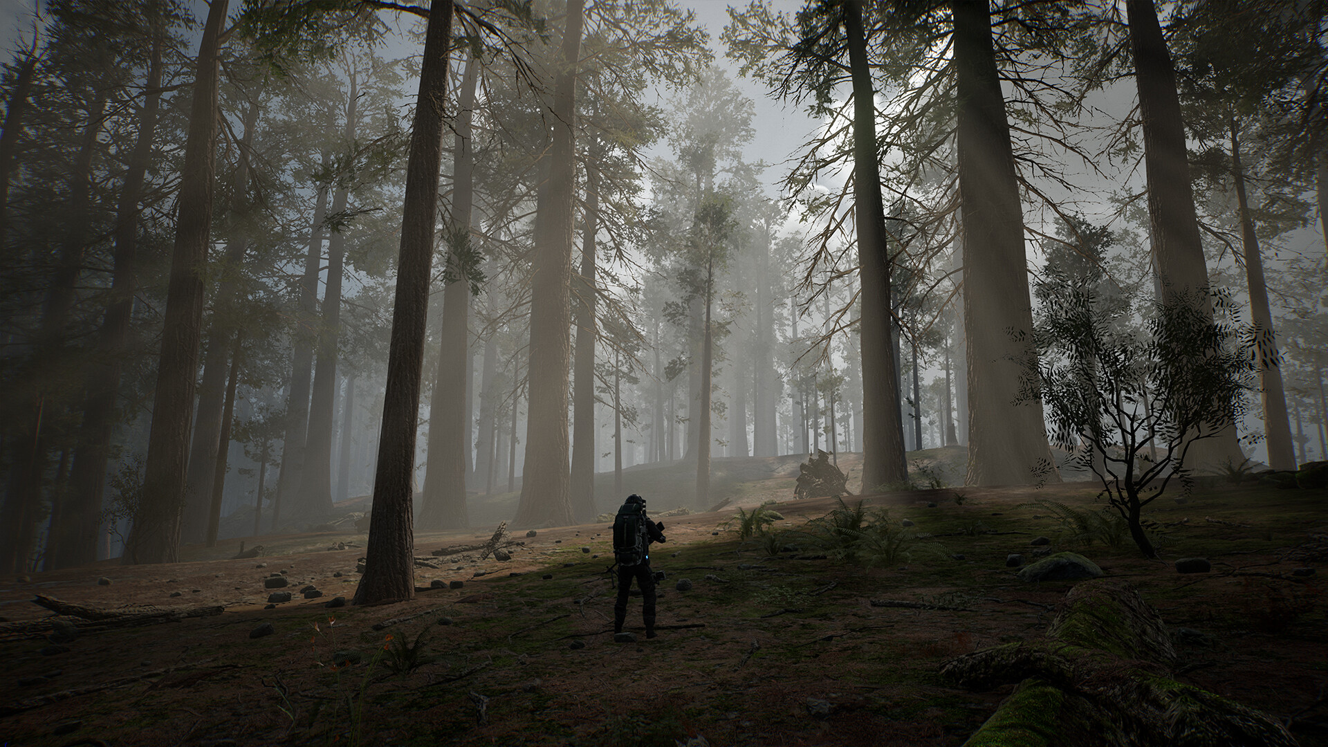 LIFE EFFECT Screenshot 4