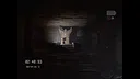 Below: Footage 1 Screenshot 0