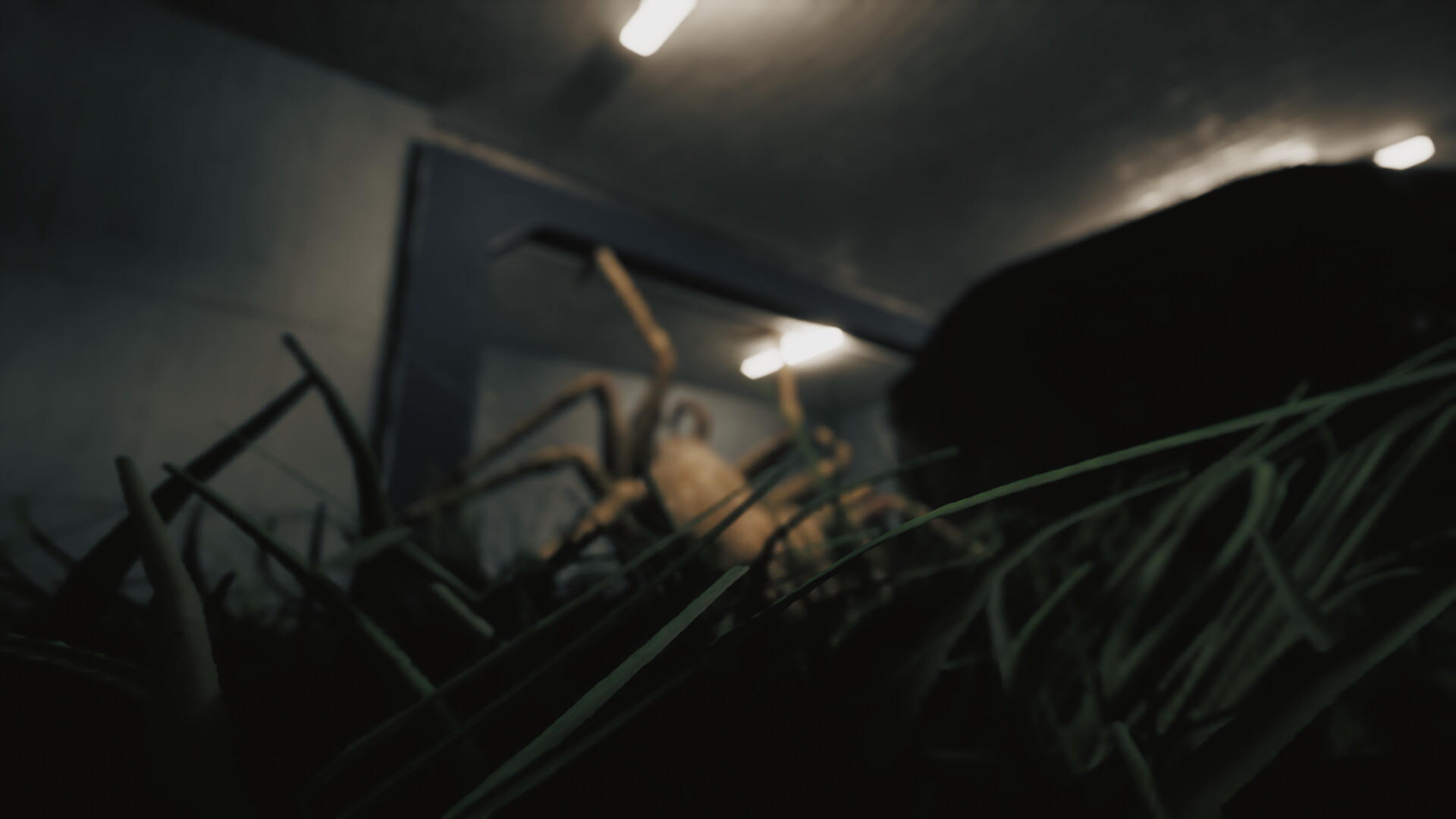 Huntsman Screenshot 8