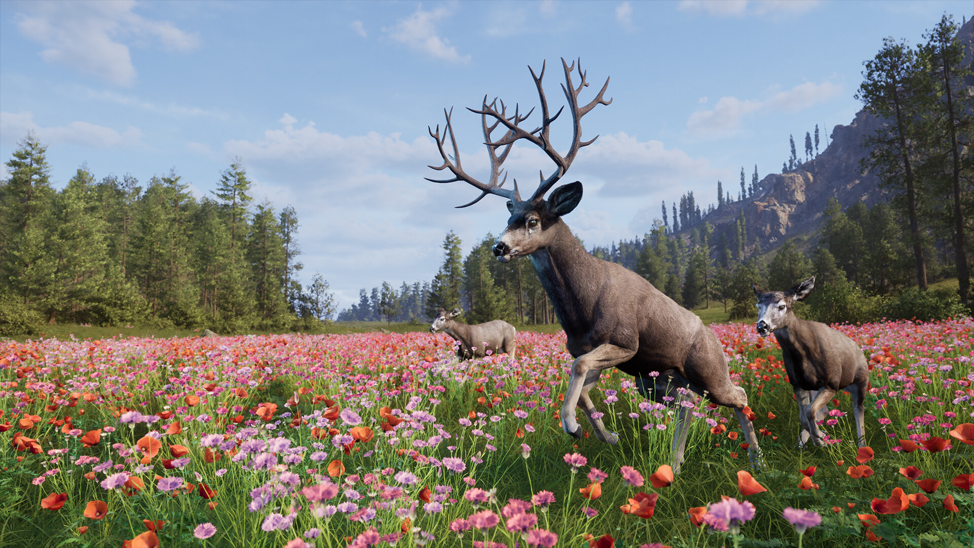 Way of the Hunter 2 Screenshot 2