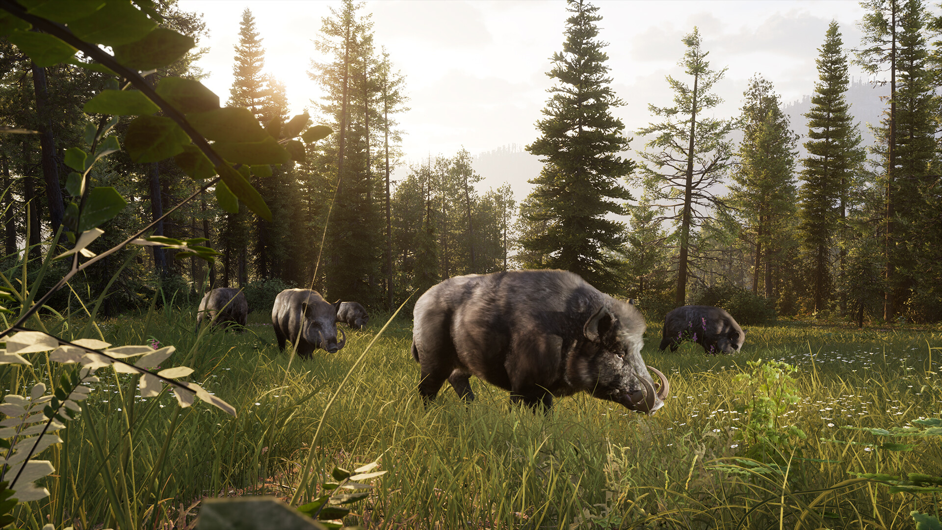 Way of the Hunter 2 Screenshot 0