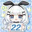 22 icon