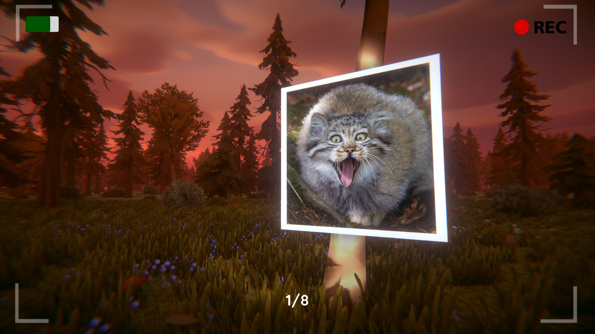 Floppa: The Dark Forest Screenshot 4