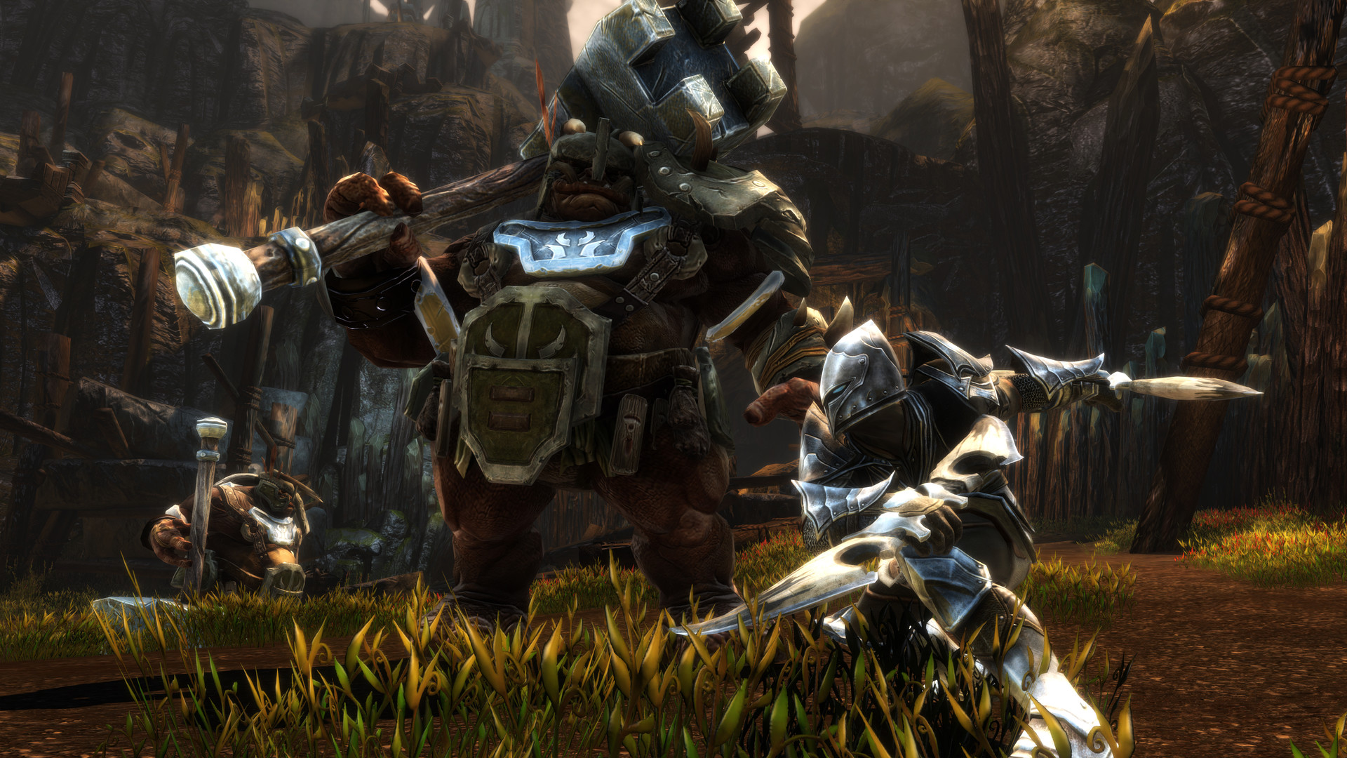 Kingdoms of Amalur: Re-Reckoning Screenshot 1