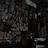 Bedlamite