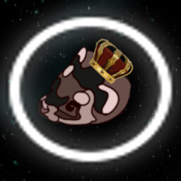 Perfect Capture icon