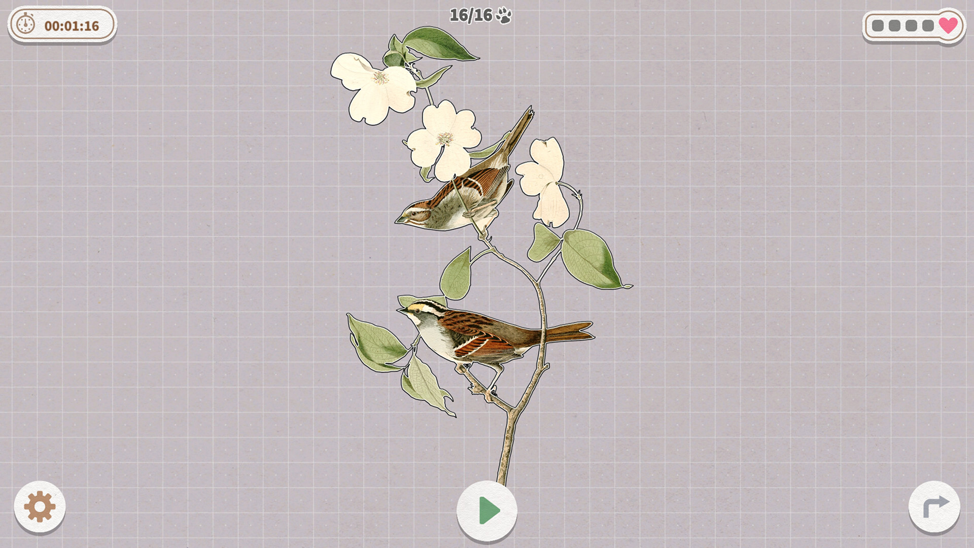 Birds Huddled Together Screenshot 3