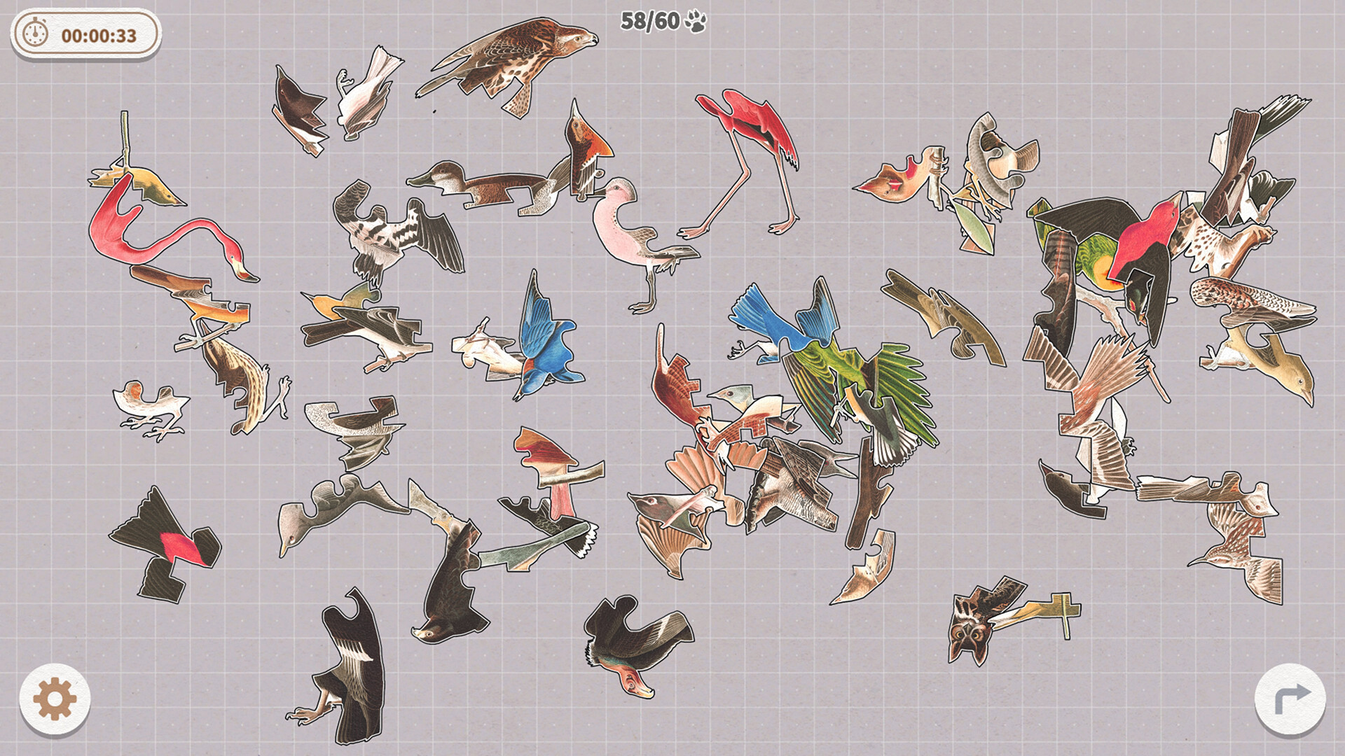 Birds Huddled Together Screenshot 10