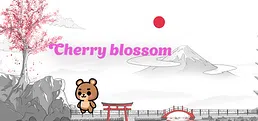 Cherry blossom