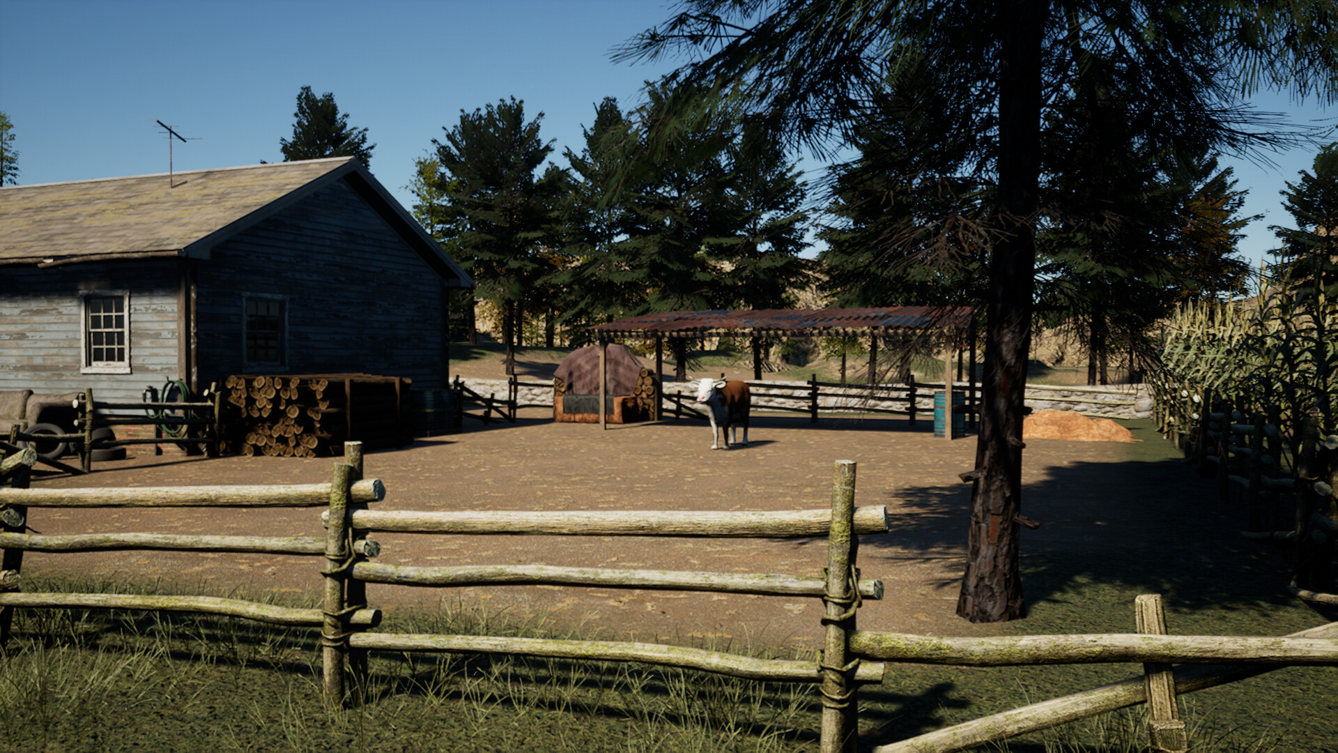 The Witch and The Lost Babies Screenshot 4