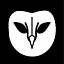 Follow the Owl icon