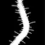 Blast Through The Bramble icon