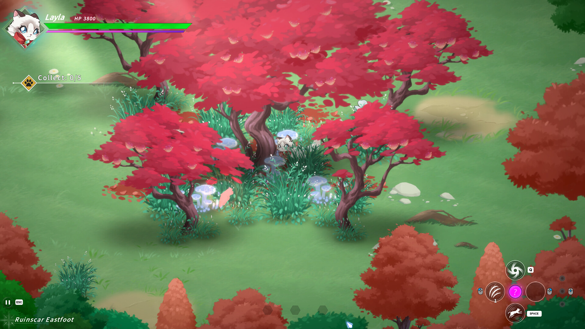 Sleepy Cat Screenshot 13