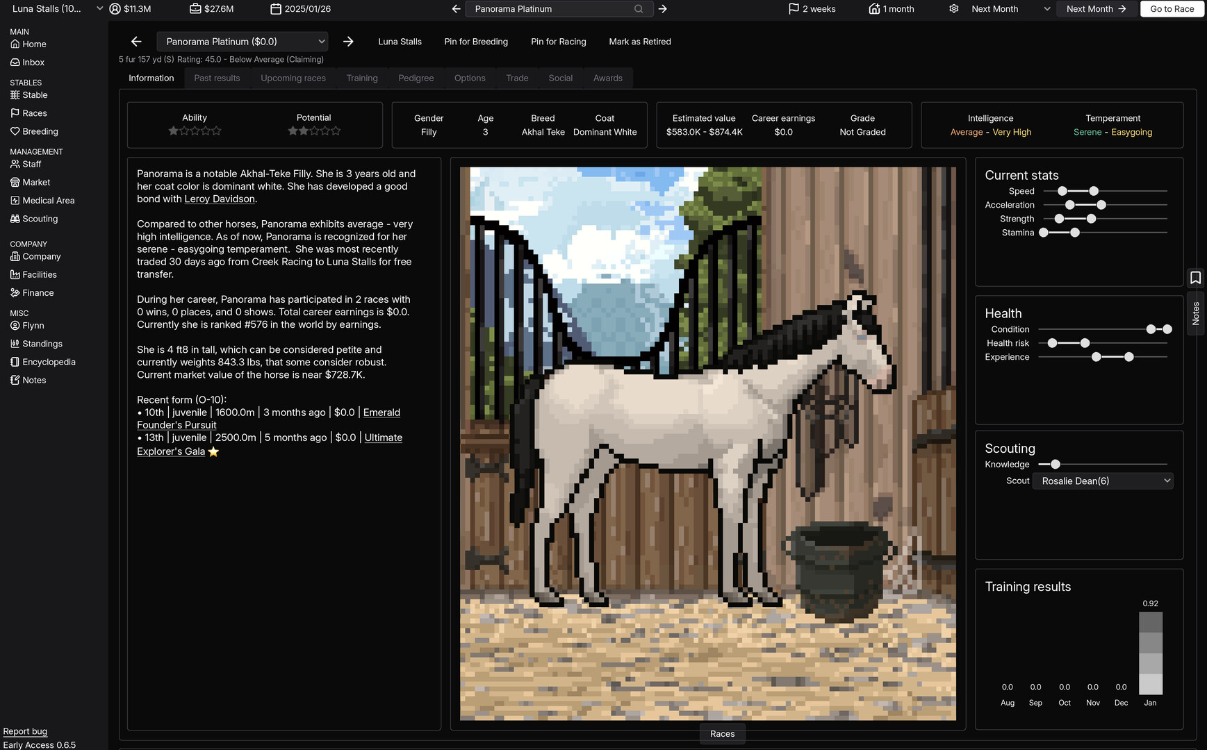 Horse Racing Manager Screenshot 5
