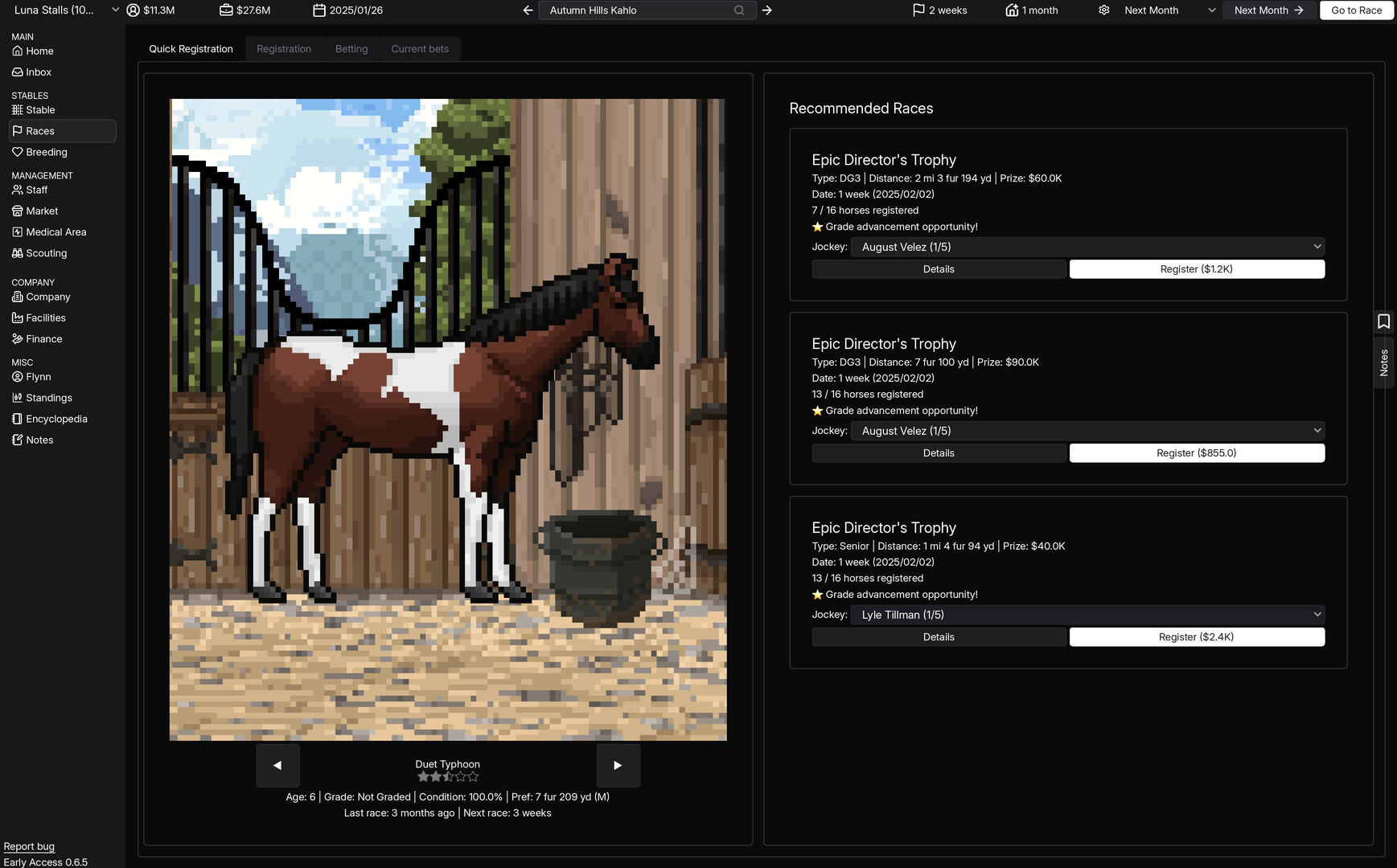 Horse Racing Manager Screenshot 8